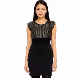 American Apparel Black Mini Dress with Silver Stripes